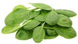 Baby Spinach - Net: 100g | Gross: 180g - Gourmet Garden