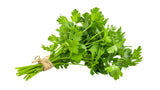 Coriander - Net: 100g | Gross: 175g - Gourmet Garden
