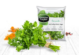 Coriander - Net: 100g | Gross: 175g - Gourmet Garden
