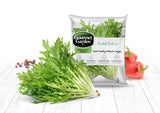 Curled Endive - Net: 150g | Gross: 250g - Gourmet Garden