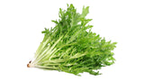 Curled Endive - Net: 150g | Gross: 250g - Gourmet Garden