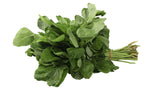 Green Amaranthus - Net: 150g | Gross: 225g - Gourmet Garden