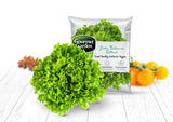 Green Batavia Lettuce - Net: 150g | Gross: 250g - Gourmet Garden