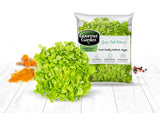 Green Oak Lettuce - Net: 150g | Gross: 250g - Gourmet Garden