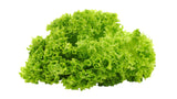 Leafy Lettuce - Net: 150g | Gross: 250g - Gourmet Garden
