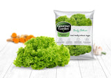 Leafy Lettuce - Net: 150g | Gross: 250g - Gourmet Garden