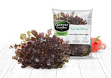 Red Oak Lettuce - Net: 150g | Gross: 250g - Gourmet Garden