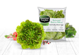 Red-Tinted Batavia Lettuce - Net: 150g | Gross: 250g - Gourmet Garden