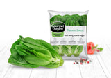 Romaine Lettuce - Net: 150g | Gross: 250g - Gourmet Garden